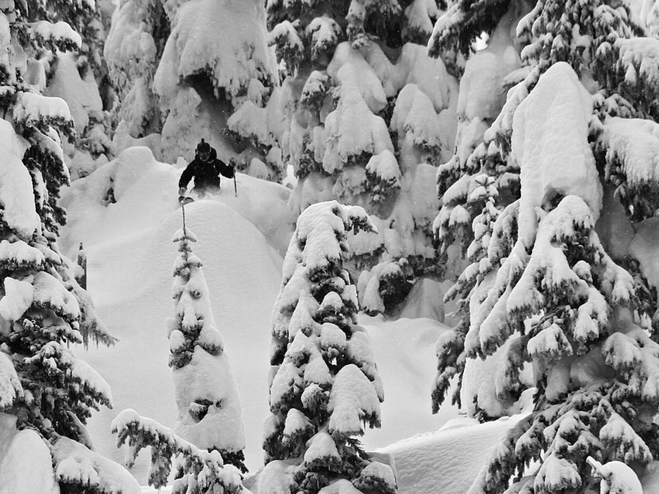 Canada Pillow Drops in the trees