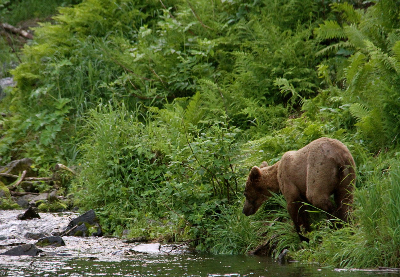 Third-Edge-Heli--Chile-107