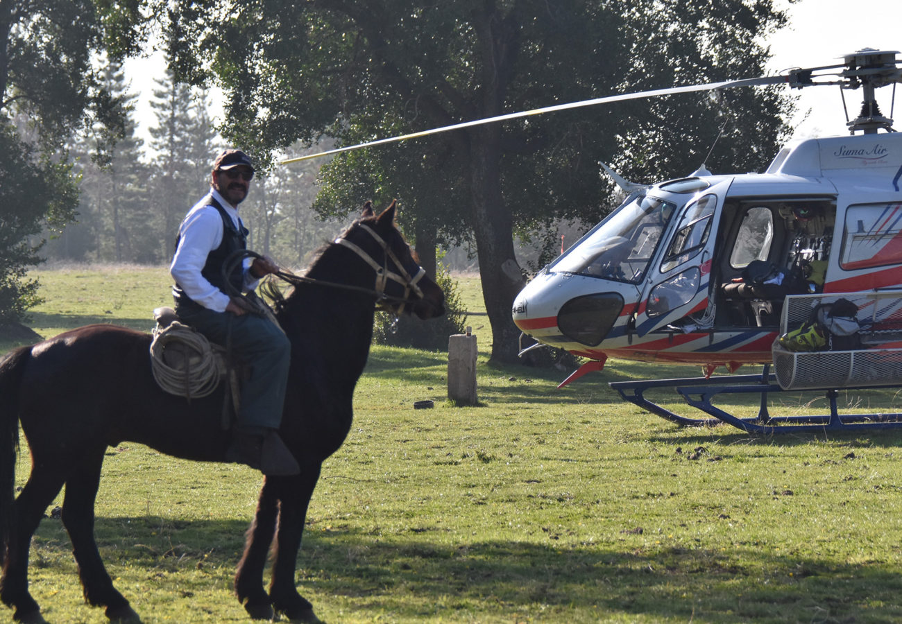 Third-Edge-Heli--Chile-131